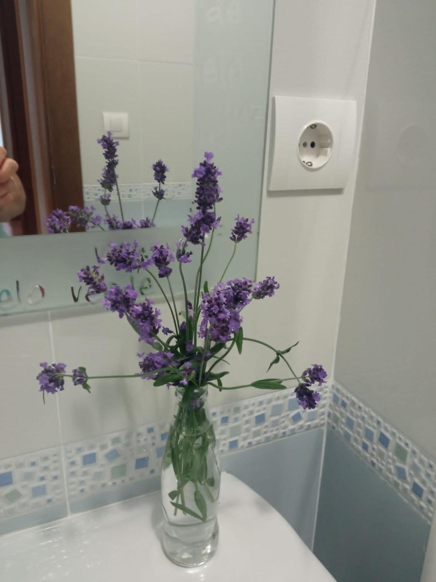 Apartamentos La Blanca 누에바데엘라네스 외부 사진